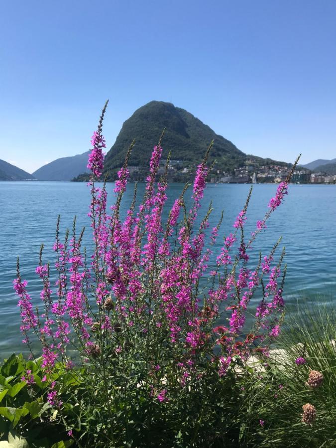 Connie S Home Free Parking Lugano Exteriör bild